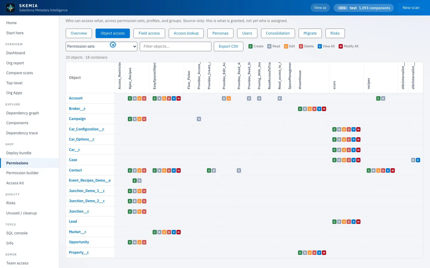 The Skemia permissions matrix showing object access across permission sets, with coloured access-level cells.